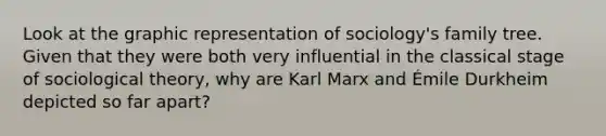 Look at the graphic representation of sociology's family tree. Given that they were both very influential in the classical stage of sociological theory, why are Karl Marx and Émile Durkheim depicted so far apart?