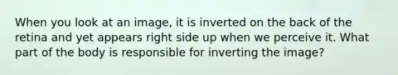 When you look at an image, it is inverted on the back of the retina and yet appears right side up when we perceive it. What part of the body is responsible for inverting the image?