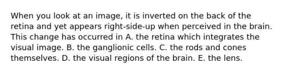 When you look at an image, it is inverted on the back of the retina and yet appears right-side-up when perceived in <a href='https://www.questionai.com/knowledge/kLMtJeqKp6-the-brain' class='anchor-knowledge'>the brain</a>. This change has occurred in A. the retina which integrates the visual image. B. the ganglionic cells. C. the rods and cones themselves. D. the visual regions of the brain. E. the lens.