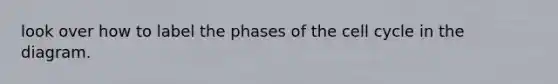 look over how to label the phases of the <a href='https://www.questionai.com/knowledge/keQNMM7c75-cell-cycle' class='anchor-knowledge'>cell cycle</a> in the diagram.