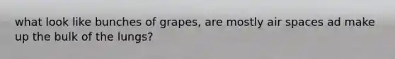 what look like bunches of grapes, are mostly air spaces ad make up the bulk of the lungs?