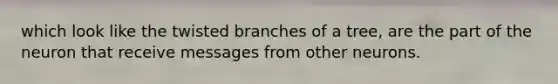 which look like the twisted branches of a tree, are the part of the neuron that receive messages from other neurons.