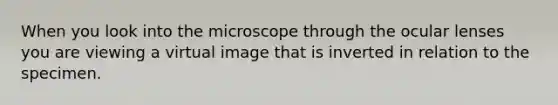 When you look into the microscope through the ocular lenses you are viewing a virtual image that is inverted in relation to the specimen.