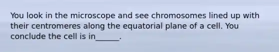 You look in the microscope and see chromosomes lined up with their centromeres along the equatorial plane of a cell. You conclude the cell is in______.