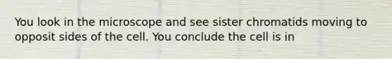 You look in the microscope and see sister chromatids moving to opposit sides of the cell. You conclude the cell is in