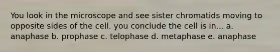 You look in the microscope and see sister chromatids moving to opposite sides of the cell. you conclude the cell is in... a. anaphase b. prophase c. telophase d. metaphase e. anaphase