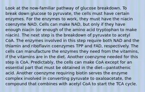 Look at the now-familiar pathway of glucose breakdown. To break down glucose to pyruvate, the cells must have certain enzymes. For the enzymes to work, they must have the niacin coenzyme NAD. Cells can make NAD, but only if they have enough niacin (or enough of the amino acid tryptophan to make niacin). The next step is the breakdown of pyruvate to acetyl CoA. The enzymes involved in this step require both NAD and the thiamin and riboflavin coenzymes TPP and FAD, respectively. The cells can manufacture the enzymes they need from the vitamins, if the vitamins are in the diet. Another coenzyme needed for this step is CoA. Predictably, the cells can make CoA except for an essential part that must be obtained in the diet—pantothenic acid. Another coenzyme requiring biotin serves the enzyme complex involved in converting pyruvate to oxaloacetate, the compound that combines with acetyl CoA to start the TCA cycle.