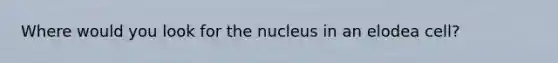 Where would you look for the nucleus in an elodea cell?