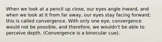 When we look at a pencil up close, our eyes angle inward, and when we look at it from far away, our eyes stay facing forward; this is called convergence. With only one eye, convergence would not be possible, and therefore, we wouldn't be able to perceive depth. (Convergence is a binocular cue).