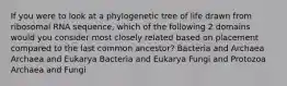 If you were to look at a phylogenetic tree of life drawn from ribosomal RNA sequence, which of the following 2 domains would you consider most closely related based on placement compared to the last common ancestor? Bacteria and Archaea Archaea and Eukarya Bacteria and Eukarya Fungi and Protozoa Archaea and Fungi