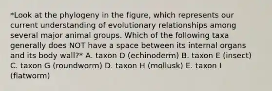 *Look at the phylogeny in the figure, which represents our current understanding of evolutionary relationships among several major animal groups. Which of the following taxa generally does NOT have a space between its internal organs and its body wall?* A. taxon D (echinoderm) B. taxon E (insect) C. taxon G (roundworm) D. taxon H (mollusk) E. taxon I (flatworm)