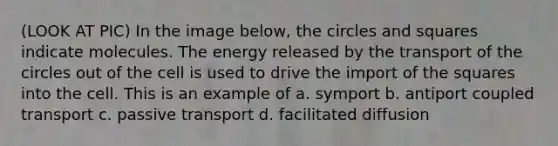 (LOOK AT PIC) In the image below, the circles and squares indicate molecules. The energy released by the transport of the circles out of the cell is used to drive the import of the squares into the cell. This is an example of a. symport b. antiport coupled transport c. passive transport d. facilitated diffusion