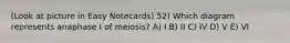 (Look at picture in Easy Notecards) 52) Which diagram represents anaphase I of meiosis? A) I B) II C) IV D) V E) VI