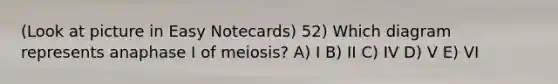 (Look at picture in Easy Notecards) 52) Which diagram represents anaphase I of meiosis? A) I B) II C) IV D) V E) VI