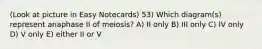 (Look at picture in Easy Notecards) 53) Which diagram(s) represent anaphase II of meiosis? A) II only B) III only C) IV only D) V only E) either II or V