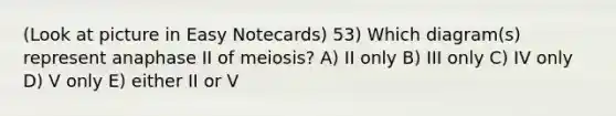 (Look at picture in Easy Notecards) 53) Which diagram(s) represent anaphase II of meiosis? A) II only B) III only C) IV only D) V only E) either II or V