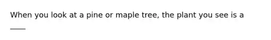 When you look at a pine or maple tree, the plant you see is a ____