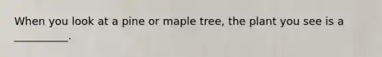 When you look at a pine or maple tree, the plant you see is a __________.