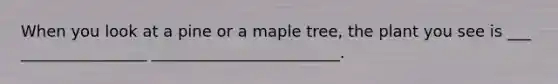 When you look at a pine or a maple tree, the plant you see is ___ ________________ ________________________.