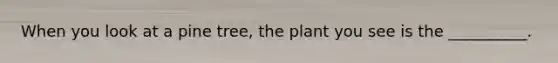 When you look at a pine tree, the plant you see is the __________.