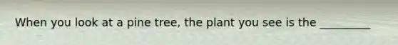 When you look at a pine tree, the plant you see is the _________