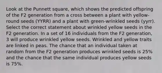 Look at the Punnett square, which shows the predicted offspring of the F2 generation from a cross between a plant with yellow-round seeds (YYRR) and a plant with green-wrinkled seeds (yyrr). Select the correct statement about wrinkled yellow seeds in the F2 generation. In a set of 16 individuals from the F2 generation, 3 will produce wrinkled yellow seeds. Wrinkled and yellow traits are linked in peas. The chance that an individual taken at random from the F2 generation produces wrinkled seeds is 25% and the chance that the same individual produces yellow seeds is 75%.