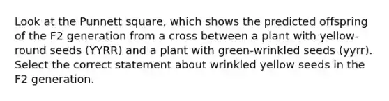 Look at the Punnett square, which shows the predicted offspring of the F2 generation from a cross between a plant with yellow-round seeds (YYRR) and a plant with green-wrinkled seeds (yyrr). Select the correct statement about wrinkled yellow seeds in the F2 generation.