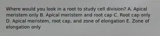 Where would you look in a root to study cell division? A. Apical meristem only B. Apical meristem and root cap C. Root cap only D. Apical meristem, root cap, and zone of elongation E. Zone of elongation only