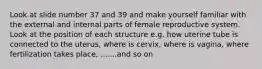 Look at slide number 37 and 39 and make yourself familiar with the external and internal parts of female reproductive system. Look at the position of each structure e.g. how uterine tube is connected to the uterus, where is cervix, where is vagina, where fertilization takes place, .......and so on