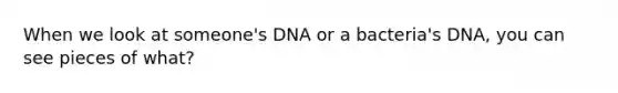 When we look at someone's DNA or a bacteria's DNA, you can see pieces of what?