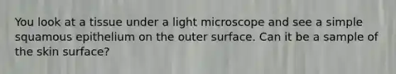 You look at a tissue under a light microscope and see a simple squamous epithelium on the outer surface. Can it be a sample of the skin surface?