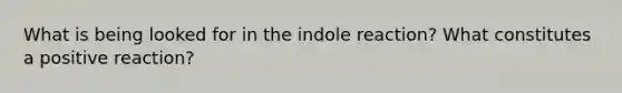 What is being looked for in the indole reaction? What constitutes a positive reaction?