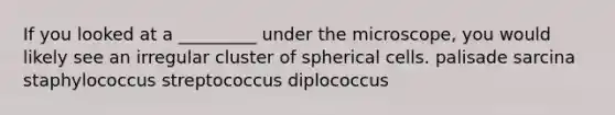 If you looked at a _________ under the microscope, you would likely see an irregular cluster of spherical cells. palisade sarcina staphylococcus streptococcus diplococcus