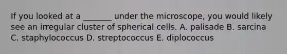 If you looked at a _______ under the microscope, you would likely see an irregular cluster of spherical cells. A. palisade B. sarcina C. staphylococcus D. streptococcus E. diplococcus