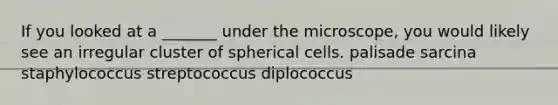 If you looked at a _______ under the microscope, you would likely see an irregular cluster of spherical cells. palisade sarcina staphylococcus streptococcus diplococcus