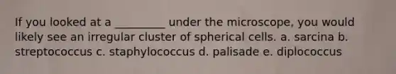 If you looked at a _________ under the microscope, you would likely see an irregular cluster of spherical cells. a. sarcina b. streptococcus c. staphylococcus d. palisade e. diplococcus