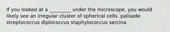 If you looked at a _________ under the microscope, you would likely see an irregular cluster of spherical cells. palisade streptococcus diplococcus staphylococcus sarcina