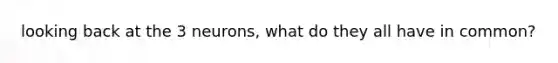 looking back at the 3 neurons, what do they all have in common?