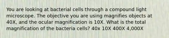 You are looking at bacterial cells through a compound light microscope. The objective you are using magnifies objects at 40X, and the ocular magnification is 10X. What is the total magnification of the bacteria cells? 40x 10X 400X 4,000X