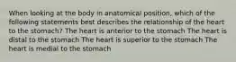 When looking at the body in anatomical position, which of the following statements best describes the relationship of the heart to the stomach? The heart is anterior to the stomach The heart is distal to the stomach The heart is superior to the stomach The heart is medial to the stomach