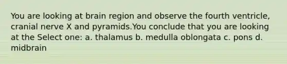 You are looking at brain region and observe the fourth ventricle, cranial nerve X and pyramids.You conclude that you are looking at the Select one: a. thalamus b. medulla oblongata c. pons d. midbrain