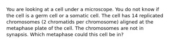 You are looking at a cell under a microscope. You do not know if the cell is a germ cell or a somatic cell. The cell has 14 replicated chromosomes (2 chromatids per chromosome) aligned at the metaphase plate of the cell. The chromosomes are not in synapsis. Which metaphase could this cell be in?