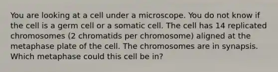 You are looking at a cell under a microscope. You do not know if the cell is a germ cell or a somatic cell. The cell has 14 replicated chromosomes (2 chromatids per chromosome) aligned at the metaphase plate of the cell. The chromosomes are in synapsis. Which metaphase could this cell be in?