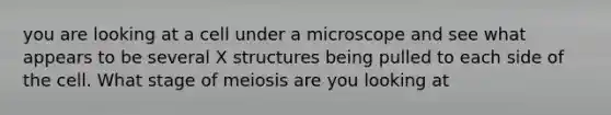 you are looking at a cell under a microscope and see what appears to be several X structures being pulled to each side of the cell. What stage of meiosis are you looking at