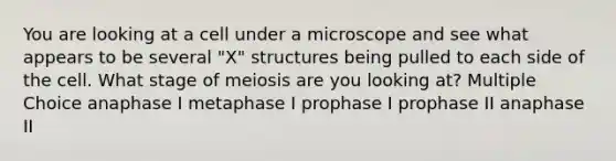 You are looking at a cell under a microscope and see what appears to be several "X" structures being pulled to each side of the cell. What stage of meiosis are you looking at? Multiple Choice anaphase I metaphase I prophase I prophase II anaphase II