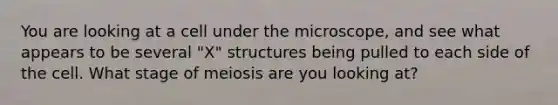 You are looking at a cell under the microscope, and see what appears to be several "X" structures being pulled to each side of the cell. What stage of meiosis are you looking at?