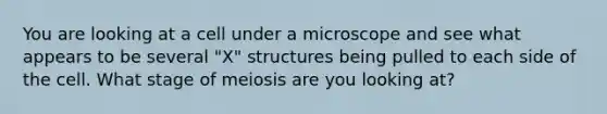 You are looking at a cell under a microscope and see what appears to be several "X" structures being pulled to each side of the cell. What stage of meiosis are you looking at?