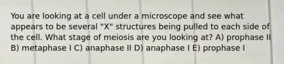 You are looking at a cell under a microscope and see what appears to be several "X" structures being pulled to each side of the cell. What stage of meiosis are you looking at? A) prophase II B) metaphase I C) anaphase II D) anaphase I E) prophase I