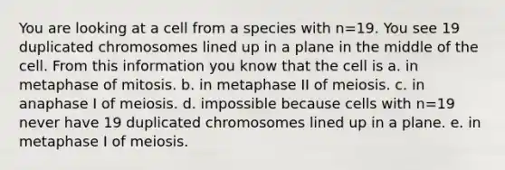 You are looking at a cell from a species with n=19. You see 19 duplicated chromosomes lined up in a plane in the middle of the cell. From this information you know that the cell is a. in metaphase of mitosis. b. in metaphase II of meiosis. c. in anaphase I of meiosis. d. impossible because cells with n=19 never have 19 duplicated chromosomes lined up in a plane. e. in metaphase I of meiosis.