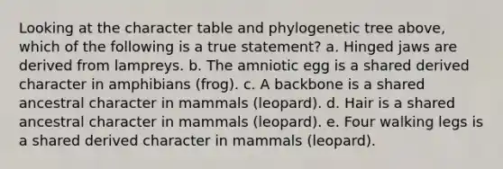 Looking at the character table and phylogenetic tree above, which of the following is a true statement? a. Hinged jaws are derived from lampreys. b. The amniotic egg is a shared derived character in amphibians (frog). c. A backbone is a shared ancestral character in mammals (leopard). d. Hair is a shared ancestral character in mammals (leopard). e. Four walking legs is a shared derived character in mammals (leopard).